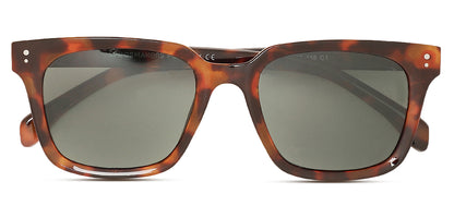Brown_Demi_with_Grey_Lens