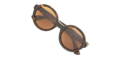 Brown_Tortoise