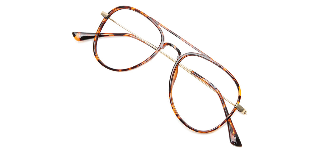 Brown_Tortoise_With_Gold