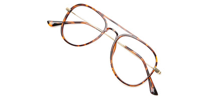 Brown_Tortoise_With_Gold