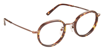 Tortoise_Brown_with_Brown