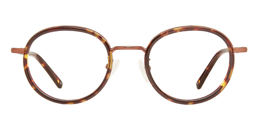 Tortoise_Brown_with_Brown