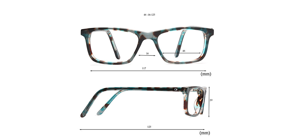 Multicolour_Tortoise_With_Multicolor