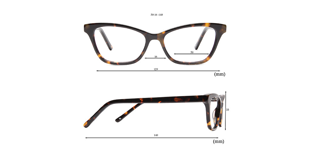 Glossy_Tortoise_Brown_Tortoise