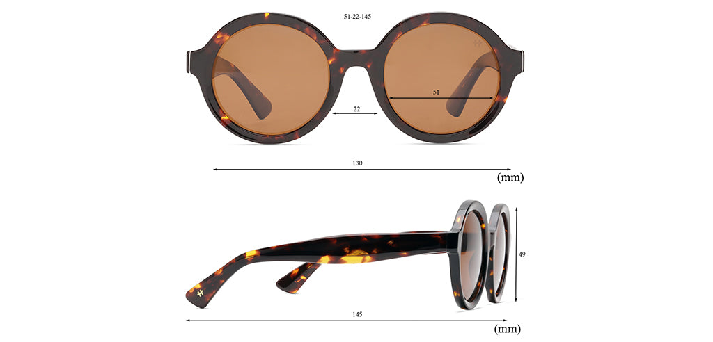 Brown_Tortoise