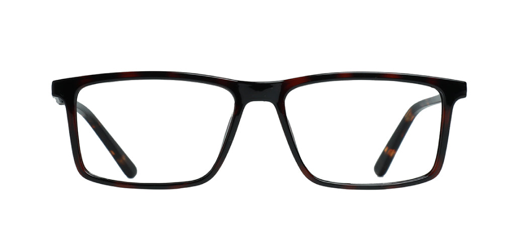Brown Tortoise_With_Black