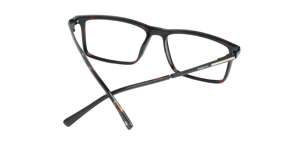 Brown Tortoise_With_Black