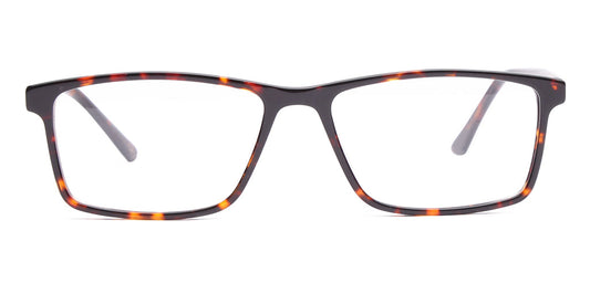 Glossy_Brown_With_Tortoise